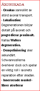 Text Box: Axonskada- Orsakas sannolikt av störd axonal transport.
- Lokalisation: Degenerationen börjar distalt på axonet och progredierar proximalt. Kallas Wallers degeneration.
- Demyelinisering sker sekundärt. Schwanncellerna överlever dock och spelar en viktig roll i axonets reparation efter skadan.
- Innerverade muskel-fibrer atrofierar 