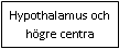 Text Box: Hypothalamus och högre centra