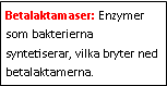 Text Box: Betalaktamaser: Enzymer som bakterierna syntetiserar, vilka bryter ned betalaktamerna. 