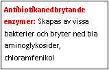 Text Box: Antibiotikanedbrytande enzymer: Skapas av vissa bakterier och bryter ned bla aminoglykosider, chloramfenikol