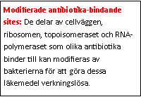 Text Box: Modifierade antibiotika-bindande sites: De delar av cellväggen, ribosomen, topoisomeraset och RNA-polymeraset som olika antibiotika binder till kan modifieras av bakterierna för att göra dessa läkemedel verkningslösa.