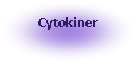 Oval: Cytokiner 