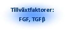 Oval: Tillväxtfaktorer: FGF, TGFβ
