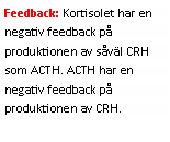 Text Box: Feedback: Kortisolet har en negativ feedback på produktionen av såväl CRH som ACTH. ACTH har en negativ feedback på produktionen av CRH.