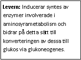 Text Box: Levern: Inducerar syntes av enzymer involverade i aminosyrametabolism och bidrar på detta sätt till konverteringen av dessa till glukos via glukoneogenes. 