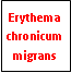 Text Box: Erythema chronicum migrans