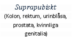 Text Box: Suprapubiskt(Kolon, rektum, urinblåsa, prostata, kvinnliga genitalia)
