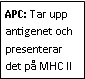 Text Box: APC: Tar upp antigenet och presenterar det på MHC II