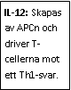 Text Box: IL-12: Skapas av APCn och driver T-cellerna mot ett Th1-svar. 