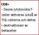 Text Box: CD8+ 
- Dessa cytotoxiska T-celler aktiveras också av Th1-cellerna och deltar i destruktionen av betaceller.
