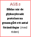 Text Box: AGE:s Bildas när de glykosylerade proteinerna genomgått ett antal förändringar (med tiden)