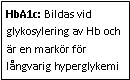 Text Box: HbA1c: Bildas vid glykosylering av Hb och är en markör för långvarig hyperglykemi