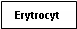 Text Box: Erytrocyt