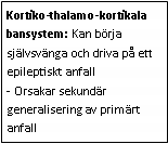 Text Box: Kortiko-thalamo-kortikala bansystem: Kan börja självsvänga och driva på ett epileptiskt anfall
- Orsakar sekundär generalisering av primärt anfall