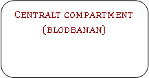 Rounded Rectangle: Centralt compartment (blodbanan)