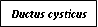 Text Box: Ductus cysticus

