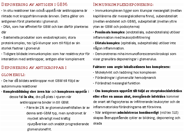 Text Box: Deponering av antigen i GBM: - In situ reaktioner kan också uppstå när antikropparna är riktade mot kroppsfrämmande ämnen. Detta gäller om antigenen först planterats i glomeruli. 
- DNA, som har affinitet för GBM och kan därför planteras där 
- Bakteriella produkter som endostreptosin; stora proteinkomplex, tex IgG-klumpar som till följd av sin storlek fastnar i glomeruli 
- Tidigare bildade immunkomplex som har reaktiva ytor för interaktion med antikroppar, antigen eller komplement Deponering av antikroppar i glomeruli: - De har då bildats antikroppar mot GBM till följd av autoimmuna reaktioner 
- Komplexbildning sker även här och komplexen uppstår i dessa fall in situ, dvs på plats i njuren när antikropparna binder in till GBM. 
- Färre än 1% av glomerulonefritfallen är av denna anti-GBM typ, men syndromet är mycket allvarligt med kraftig njurpåverkan och snabbt progredierande glomerulonefrit. Immunkomplexdeponering: - Immunkomplexen ligger som klumpar mesangialt (mellan kapillärerna där mesangialcellerna finns), subendotelialt (mellan endotelet och GBM), subepitelialt (mellan yttre ytan av GBM och podocyterna) 
- Proximala komplex (endoteliala, subendoteliala) utlöser inflammation med leukocytinfiltrering 
- Distala komplex (epiteliala, subepiteliala) utlöser inte någon inflammation. 
- Demonstreras mha immunoflorescensmikroskopi som visar granulära deponeringar i glomerulus. Faktorer som avgör lokalisationen hos komplexen: 
- Molekylvikt och laddning hos komplexen 
- Förändringar i glomerulär hemodynamik 
- Förändrad mesangial funktion - Om komplexen uppstått till följd av streptokockinfektion eller efter en annan akut, övergående infektion kommer de snart att fagocyteras av infiltrerande leukocyter och de inflammatoriska förändringarna att försvinna. 
- När antigenen administreras kontinuerligt (vid tex SLE) skapas återuppstående cykler av bildning, deponering och skada