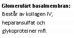 Text Box: Glomerulärt basalmembran: Består av kollagen IV, heparansulfat och glykoproteiner mfl. 