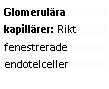 Text Box: Glomerulära kapillärer: Rikt fenestrerade endotelceller