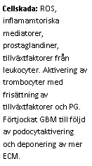 Text Box: Cellskada: ROS, inflamamtoriska mediatorer, prostaglandiner, tillväxtfaktorer från leukocyter. Aktivering av trombocyter med frisättning av tillväxtfaktorer och PG. Förtjockat GBM till följd av podocytaktivering och deponering av mer ECM.