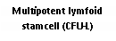 Text Box: Multipotent lymfoid stamcell (CFU-L)