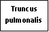 Text Box: Truncus pulmonalis