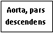 Text Box: Aorta, pars descendens