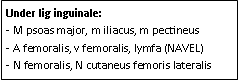 Text Box: Under lig inguinale: 
- M psoas major, m iliacus, m pectineus
- A femoralis, v femoralis, lymfa (NAVEL)
- N femoralis, N cutaneus femoris lateralis