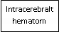 Text Box: Intracerebralt hematom
