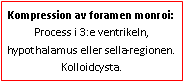 Text Box: Kompression av foramen monroi: Process i 3:e ventrikeln, hypothalamus eller sella-regionen. Kolloidcysta.