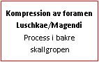 Text Box: Kompression av foramen Luschkae/Magendi Process i bakre skallgropen