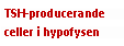 Text Box: TSH-producerande celler i hypofysen