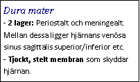 Text Box: Dura mater- 2 lager: Periostalt och meningealt. Mellan dessa ligger hjärnans venösa sinus sagittalis superior/inferior etc.
- Tjockt, stelt membran som skyddar hjärnan. 