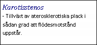 Text Box: Karotisstenos- Tillväxt av aterosklerotiska plack i sådan grad att flödesmotstånd uppstår.