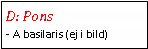 Text Box: D: Pons- A basilaris (ej i bild)