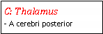 Text Box: C: Thalamus- A cerebri posterior 