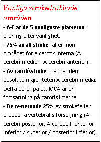 Text Box: Vanliga strokedrabbade områden- A-E är de 5 vanligaste platserna i ordning efter vanlighet.
- 75% av all stroke faller inom området för a carotis interna (A cerebri media + A cerebri anterior). 
- Av carotisstroke drabbar den absoluta majoriteten A cerebri media. Detta beror på att MCA är en fortsättning på carotis interna
- De resterande 25% av strokefallen drabbar a vertebralis försörjning (A cerebri posterior, A cerebelli anterior inferior / superior / posterior inferior).