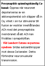 Text Box: Presynaptisk spänningskänslig Ca-kanal: Öppnas när neuronet depolariseras av en aktionspotential och släpper då in Ca, vilket i sin tur stimulerar till fusion av vesiklar innehållandes ACh med det presynaptiska membranet så att ACh kan frisättas i synapsklyftan.
- Vid Lambert Eatons myastena syndrom bildas autoantikroppar mot dessa Ca-kanaler. Detta förhindrar neuromuskulär transmission.