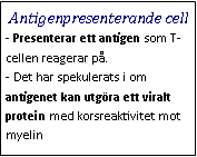 Text Box: Antigenpresenterande cell- Presenterar ett antigen som T-cellen reagerar på. 
- Det har spekulerats i om antigenet kan utgöra ett viralt protein med korsreaktivitet mot myelin