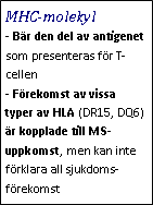 Text Box: MHC-molekyl- Bär den del av antigenet som presenteras för T-cellen
- Förekomst av vissa typer av HLA (DR15, DQ6) är kopplade till MS-uppkomst, men kan inte förklara all sjukdoms-förekomst