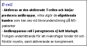 Text Box: B-cell- Aktiveras av den aktiverade T-cellen och börjar producera antikroppar, vilka utgör de oligoklonala banden som kan ses vid likvorundersökning på MS-patienter
- Antikropparnas roll i patogenesen ej helt klarlagd. Troligen underlättande för att makrofager binder till och förstör myelin, samt aktiverande av komplement.