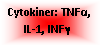 Text Box: Cytokiner: TNFα, IL-1, INFγ