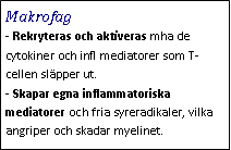 Text Box: Makrofag- Rekryteras och aktiveras mha de cytokiner och infl mediatorer som T-cellen släpper ut. 
- Skapar egna inflammatoriska mediatorer och fria syreradikaler, vilka angriper och skadar myelinet.