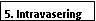 Text Box: 5. Intravasering