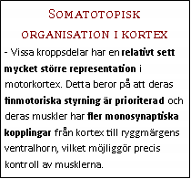 Text Box: Somatotopisk organisation i kortex- Vissa kroppsdelar har en relativt sett mycket större representation i motorkortex. Detta beror på att deras finmotoriska styrning är prioriterad och deras muskler har fler monosynaptiska kopplingar från kortex till ryggmärgens ventralhorn, vilket möjliggör precis kontroll av musklerna.