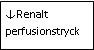 Text Box: ↓Renalt perfusionstryck