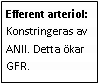 Text Box: Efferent arteriol: Konstringeras av ANII. Detta ökar GFR.