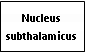 Text Box: Nucleus subthalamicus
