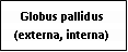 Text Box: Globus pallidus (externa, interna)
