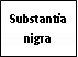 Text Box: Substantia nigra
